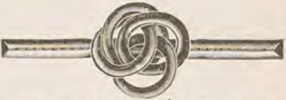 Catalog evidence for Lace / shawl pin · No. 255