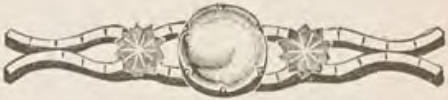 Catalog evidence for Lace / shawl pin · No. 262