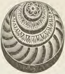 Source illustration