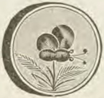 Catalog evidence for Sleeve buttons · No. 294