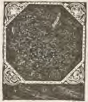 Catalog evidence for Sleeve buttons · No. 299