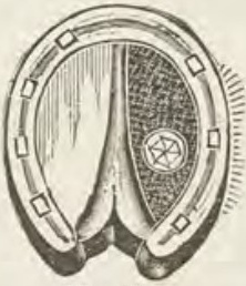 Catalog evidence for Sleeve buttons · No. 302