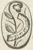 Catalog evidence for Sleeve buttons · No. 358
