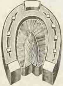 Catalog evidence for Sleeve buttons · No. 371
