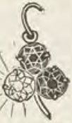 Catalog evidence for Earrings · No. 384