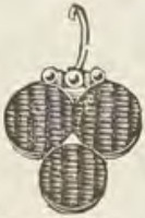 Catalog evidence for Earrings · No. 407