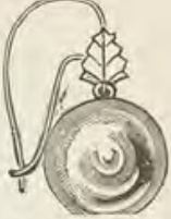 Catalog evidence for Earrings · No. 381