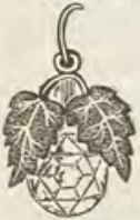 Catalog evidence for Earrings · No. 388