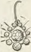 Catalog evidence for Earrings · No. 387