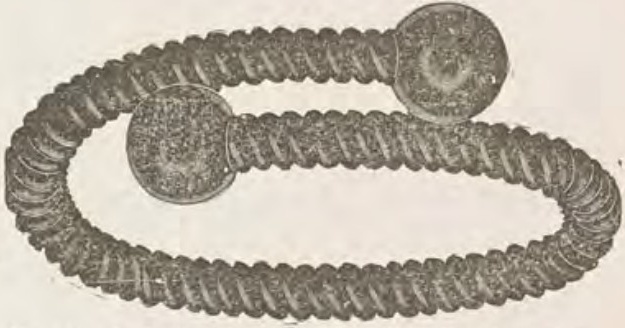Catalog evidence for Bracelet · No. 441