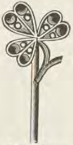 Catalog evidence for Scarf pin · No. 542