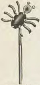 Catalog evidence for Scarf pin · No. 538