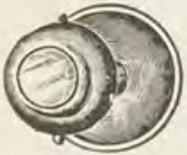 Catalog evidence for Stud / collar button · No. 575