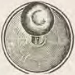 Catalog evidence for Stud / collar button · No. 584