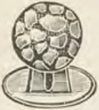 Catalog evidence for Stud / collar button · No. 563