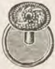 Catalog evidence for Stud / collar button · No. 596