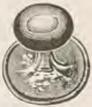 Source illustration