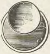 Catalog evidence for Stud / collar button · No. 582