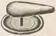 Catalog evidence for Stud / collar button · No. 586