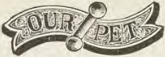 Catalog evidence for Jewelry / accessories · No. 611