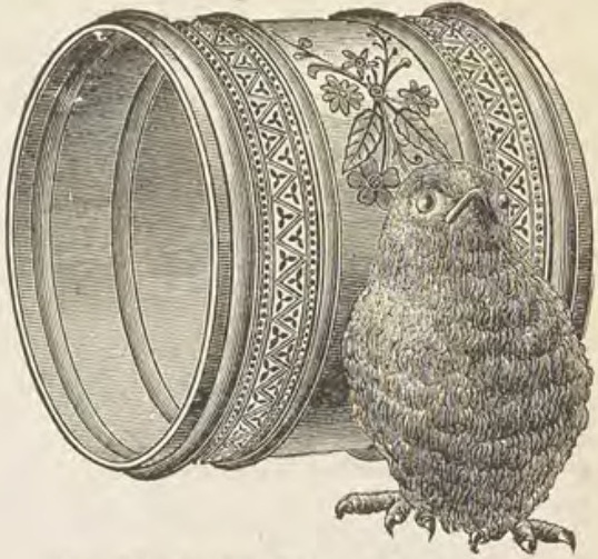 Catalog evidence for Napkin ring · No. 170
