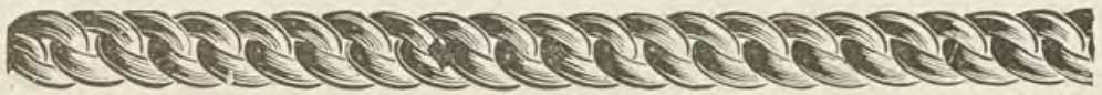 Catalog evidence for Watch / neck chain · No. 17