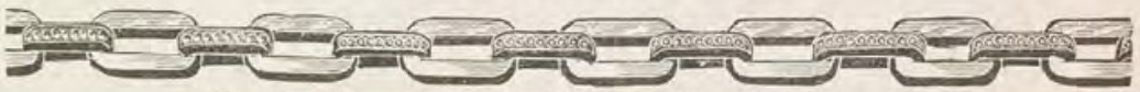 Catalog evidence for Watch / neck chain · No. 131