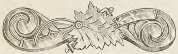 Catalog evidence for Lace / shawl pin · No. 241