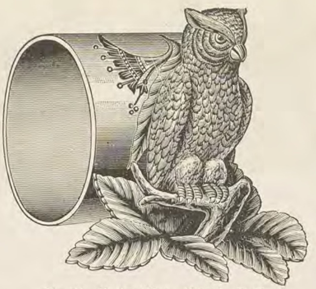 Catalog evidence for Napkin ring · No. 169