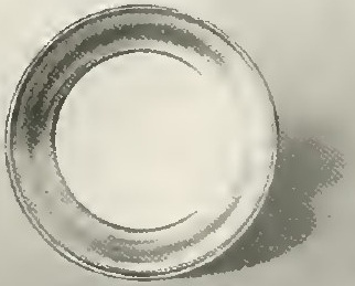 Catalog evidence for Tableware · No. 1303