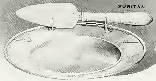 Catalog evidence for Basket / tray / serving ware · No. 4637-5