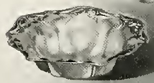 Catalog evidence for Tableware · No. 1167