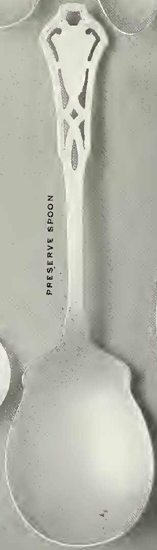 Catalog evidence for Flatware · Preserve Spoon.